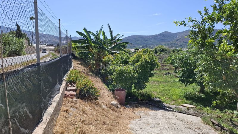 Foto b01da794-2b2c-4900-9d9d-8138c2b9c5c9. Finca rústica a Torrenueva Motril