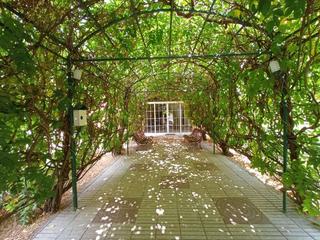 Chalet à Nalda. Espectacular vivienda rustica en carretera soria.!!