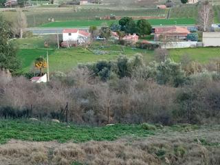 Finca rústica a Entrena. Terreno rustico