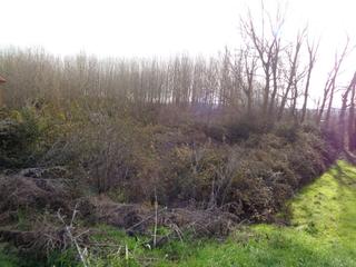Terreno residenziale in Anguciana