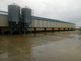 Fabrikhalle  Calle tirgo