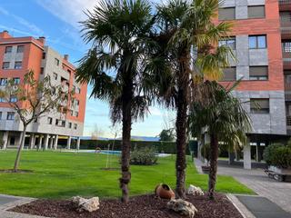 Pis  Logroño - manuel de falla. Exclusiva en unirioja  vivienda en logroño completamente exterio