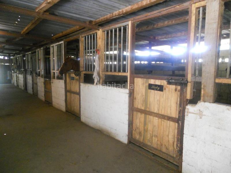 Foto 447fa28e-66f3-42c6-b848-32880b6cb2d9. Masía caserio totalmente reformado en parcela de 21.000 m2 en Abadiño