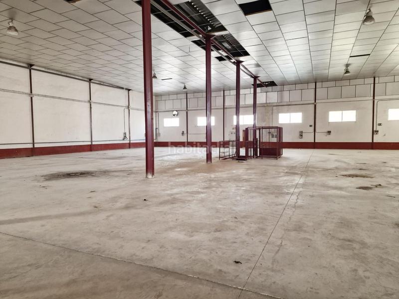 Foto 053ae1e9-1984-43b6-9064-f4606b3722bf. Fabrikhalle in Pedanías Este Aspe