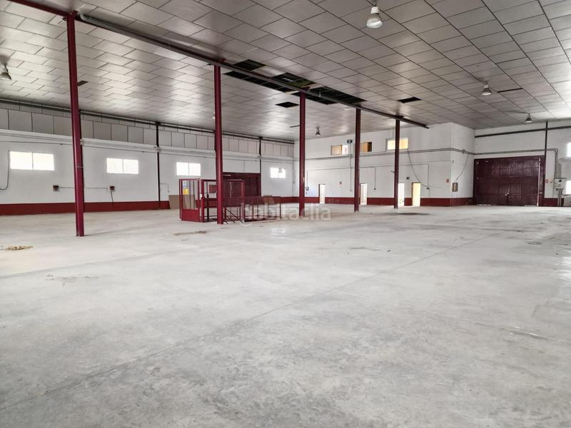 Foto 08c8e2a4-9531-4046-a8d0-7301659b3ca3. Fabrikhalle in Pedanías Este Aspe