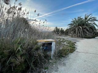 Residential Plot in La Algoda - Matola - Llano de San José. Se vende terreno con agua de riego. matola