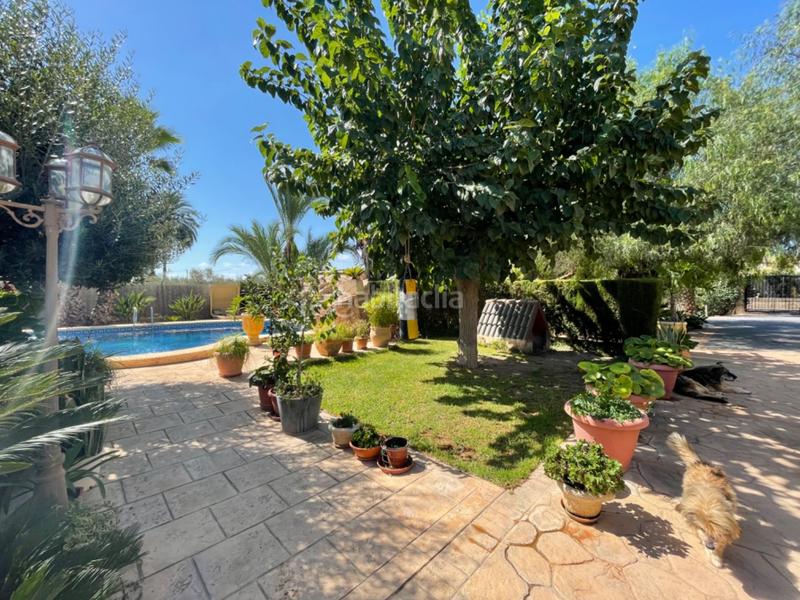 Foto 18aca585-ced9-40c2-87c8-c320b5228391. Xalet amb piscina a Alzabares Elche / Elx