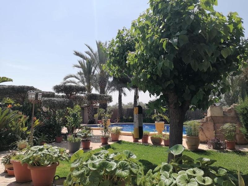 Foto d73951fb-273e-4992-977b-166ef7be4cca. Xalet amb piscina a Alzabares Elche / Elx