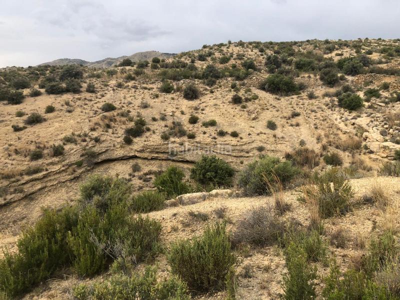 Foto 445e3ced-5541-4207-b5b1-94efd80512e8. Terreny residencial a Crevillente