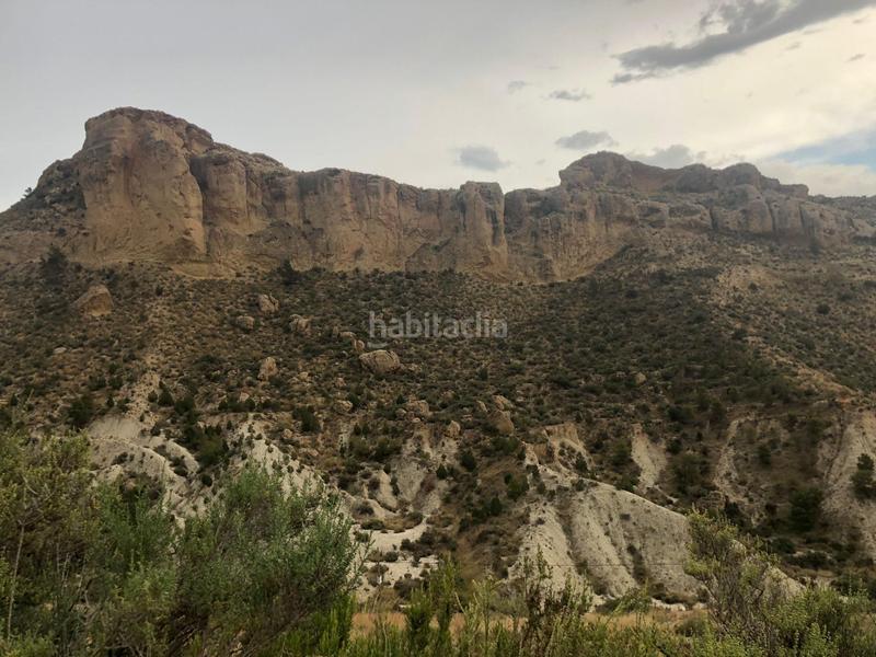 Foto 53312f58-538a-43fd-9bcc-1ac4e6fb2a8b. Terreny residencial a Crevillente