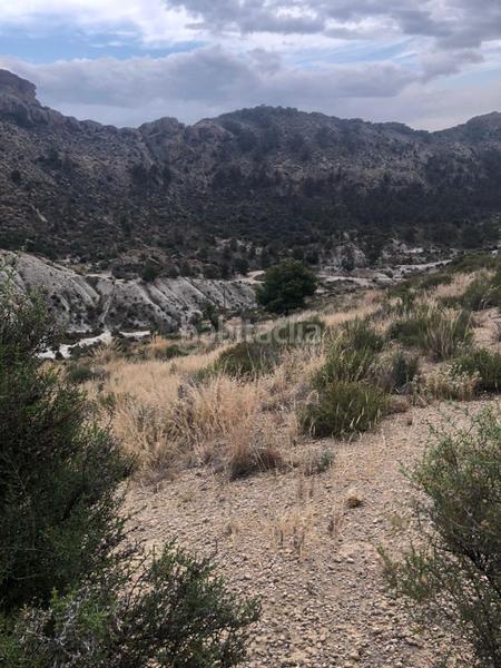 Foto 6b222ce5-4b75-4ab1-b828-42eadb0732f4. Terreny residencial a Crevillente