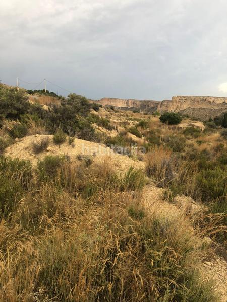 Foto 830cc222-dad8-4640-87ae-41efc4f3f837. Terreny residencial a Crevillente