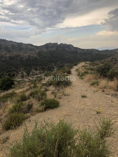 Foto dc6abdfd-7fca-4eb7-a787-f31dc462eb45. Terreny residencial a Crevillente