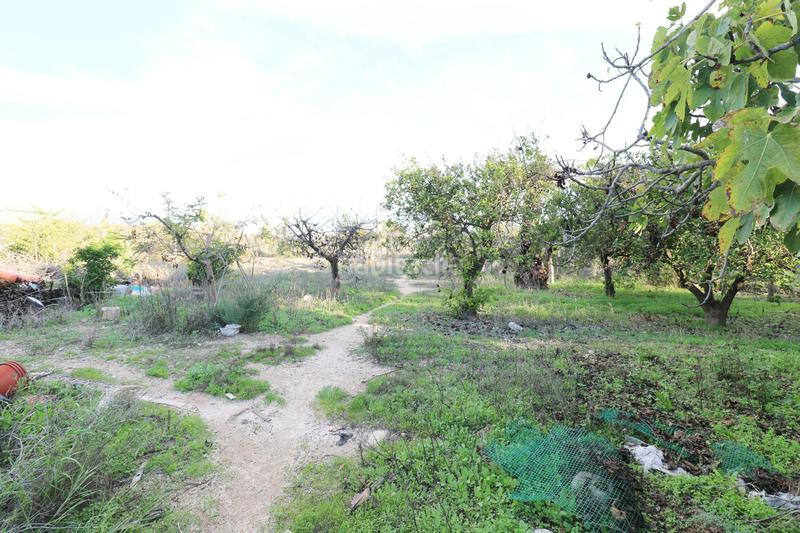 Foto ef928289-56ae-4ade-ac3d-2f4a0fc5672f. Chalet avec parking dans La Algoda - Matola - Llano de San José Elche / Elx