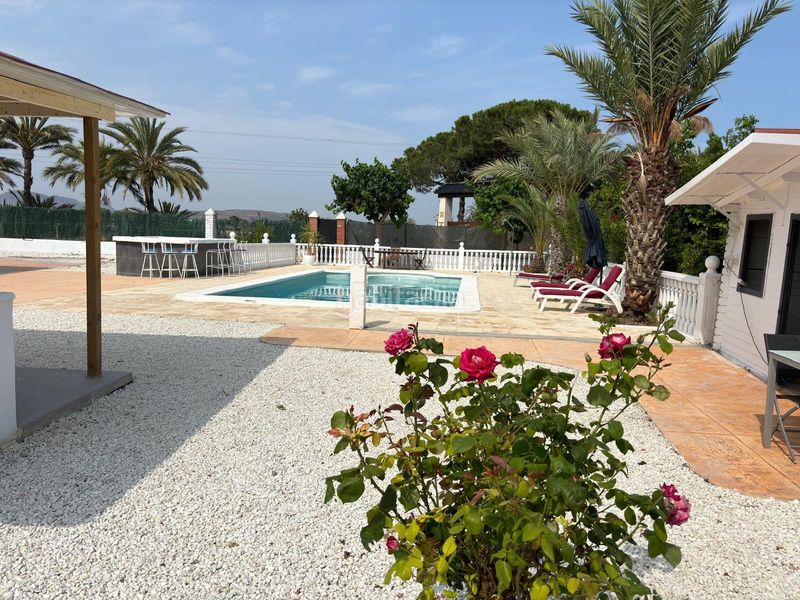Foto fefd2c59-0fbf-4300-979f-0b04986357fb. Xalet amb piscina a Perleta - Maitino Elche / Elx