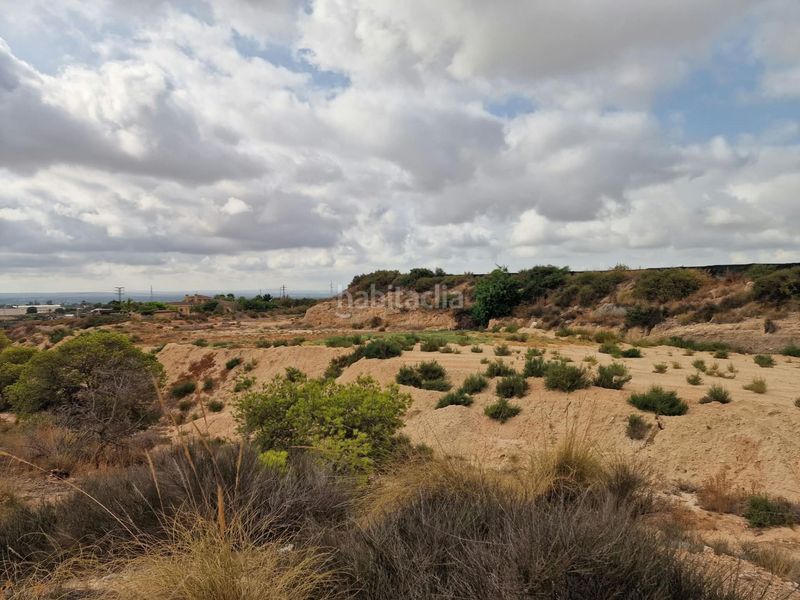 Foto c5523797-4320-44ef-99e9-20eef15df724. Finca rústica a Peña de las Águilas Elche / Elx