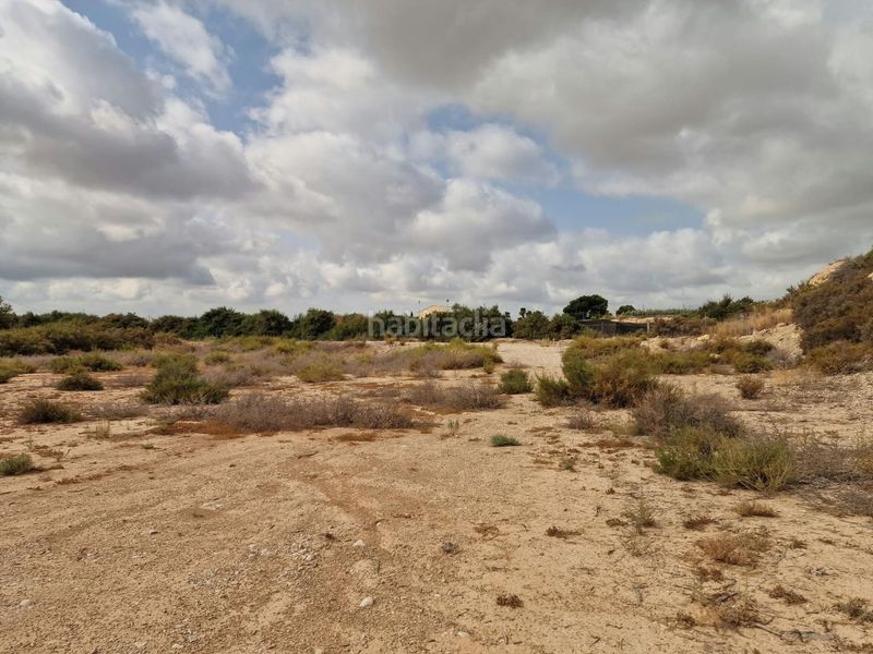 Foto f106d51e-5c1e-4f19-a189-c114a11fb089. Finca rústica a Peña de las Águilas Elche / Elx