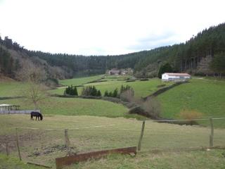 Casale  Bi-633