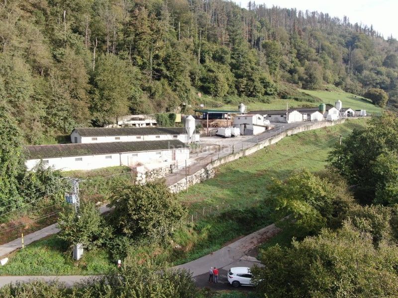 Foto c27e76f4-a020-4f10-bbb8-65f44441569b. Nave industrial en Berrobi