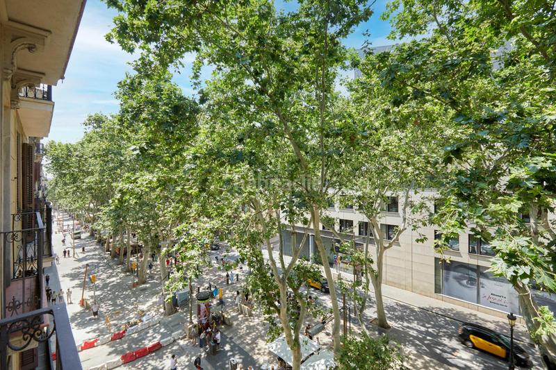 Foto 83c4eca3-15a8-4e35-9bdb-11c8435fe6ed. Pis a Gòtic Barcelona