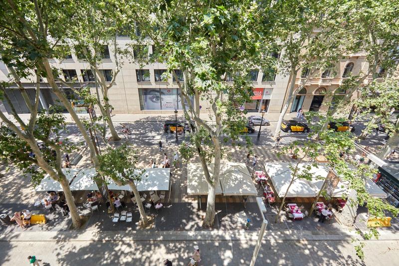 Foto aa0c2e4b-1f6a-487b-b2c8-3b60e9f94bcf. Pis a Gòtic Barcelona