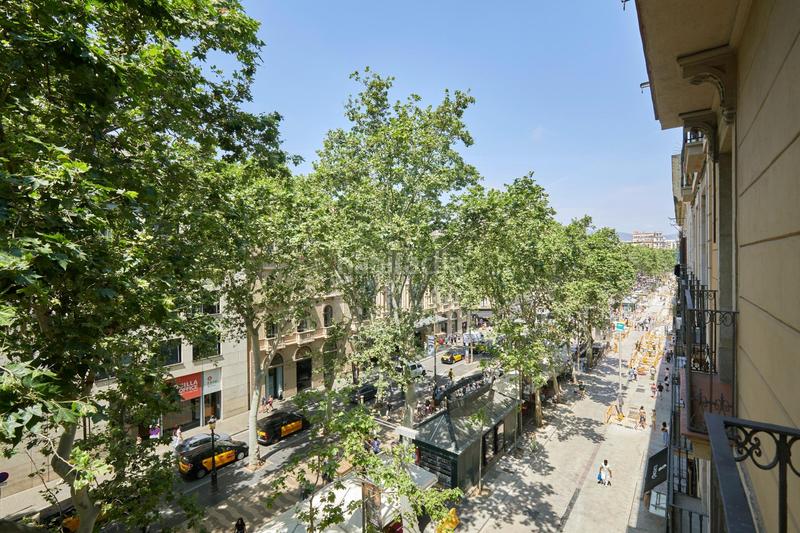 Foto ec7c4b53-af16-4f74-9914-def21ce4a92c. Pis a Gòtic Barcelona