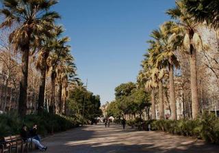 Geschäftsraum in Raval. Oportunidad en venta local social club cannabis en raval