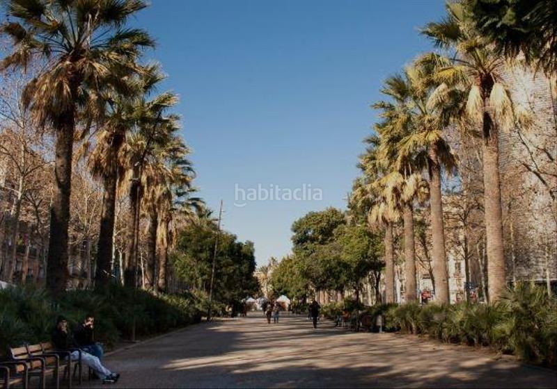 Foto a9c73bf7-9e1a-40e0-8e19-bdff4cbdb50d. Local comercial oportunidad en venta local social club cannabis en Raval en Barcelona