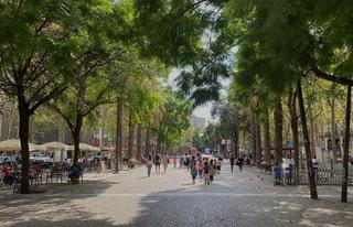 Local Comercial a Raval