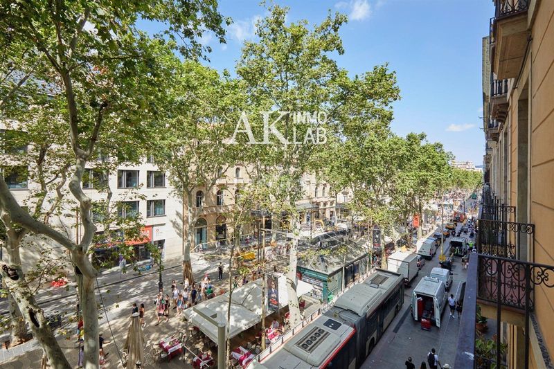 Foto 705ff0de-181e-486b-8804-5267b2ff040e. Pis a Gòtic Barcelona