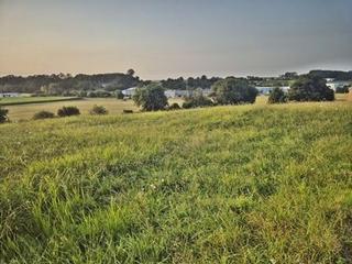 Terrain résidentiel à Barrio la sierra 216d. Terreno en pontejos