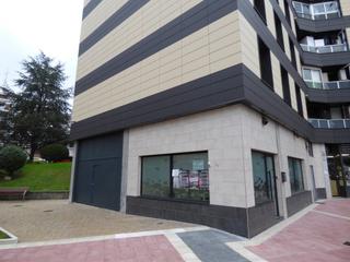 Alquiler Local Comercial en Derio. Local válido para cualquier actividad comercial y para almacén