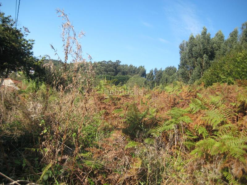 Foto 255e9b6e-b71d-49c6-9334-507a20b3897b. Terreno residencial parcela en venta en carreño. en Gijón
