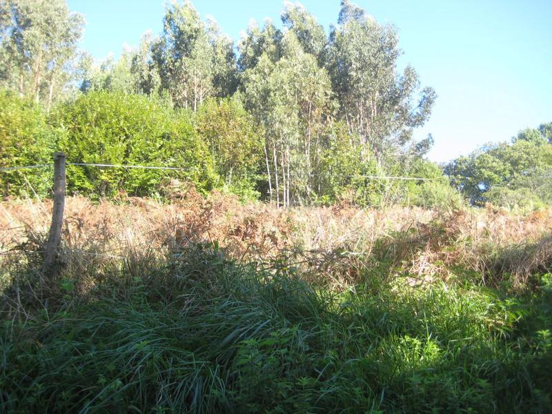 Foto 4a254af5-ac57-45d2-b9b2-b569f516334f. Terreno residencial parcela en venta en carreño. en Gijón