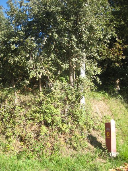 Foto 50b9900f-dc88-4290-a982-b2953a986327. Terreno residencial parcela en venta en carreño. en Gijón