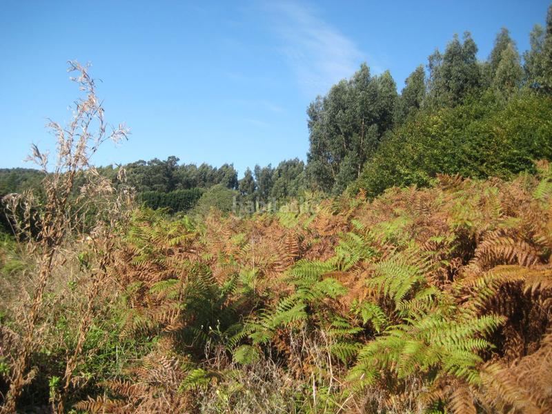 Foto 53496aed-4c32-43f6-a949-71f4cf77efcf. Terreno residencial parcela en venta en carreño. en Gijón