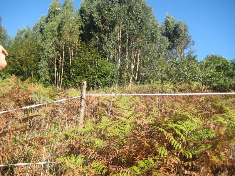 Foto 604cb6e1-42fd-47ea-8b49-ab5d25664e4e. Terreno residencial parcela en venta en carreño. en Gijón