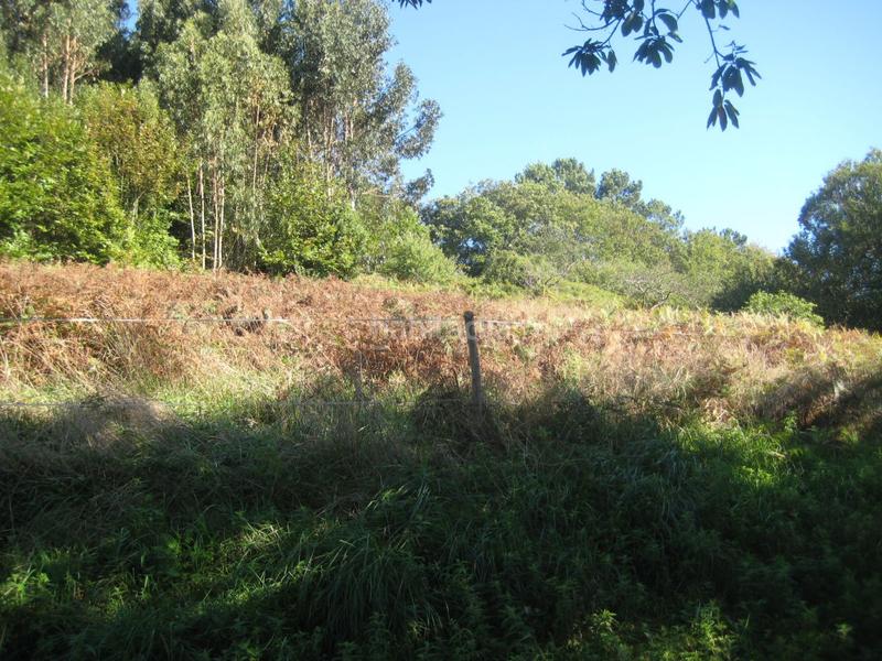 Foto 677fc187-e0aa-4710-88c3-516179f2d7a8. Terreno residencial parcela en venta en carreño. en Gijón