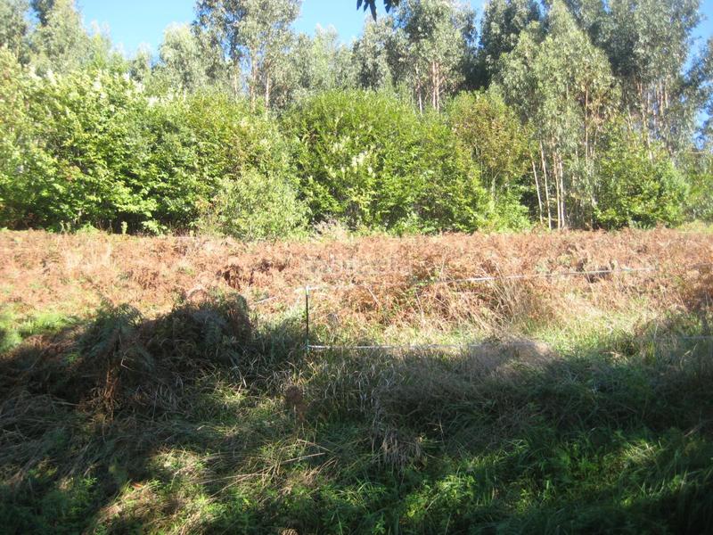 Foto 88b3da81-f254-496d-938d-c172531f1648. Terreno residencial parcela en venta en carreño. en Gijón