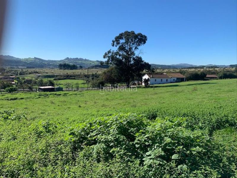 Foto e6fd511f-fe0e-4626-9e36-1e63555ceb20. Wohngrundstück in Fresno Gijón