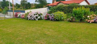 Terreno residencial en Noreña. Parcela en venta en siero.