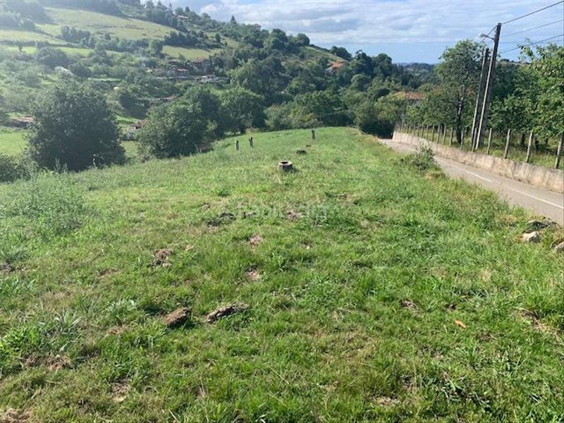 Foto 34a26d44-9d5f-432c-b9d9-5d1dfd028ada. Wohngrundstück in Caldones Gijón