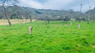 Terreny residencial a Quintes - Arroes. Parcela en venta en arroes.