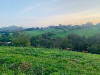 Terreno residencial en La Pedrera. Parcela en venta en periferia  mareo.