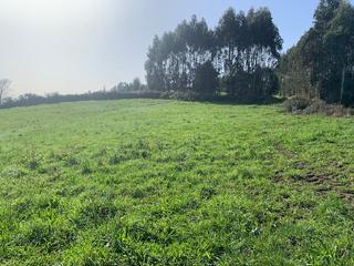 Residential Plot in Sierín. Parcela en venta en gijón.