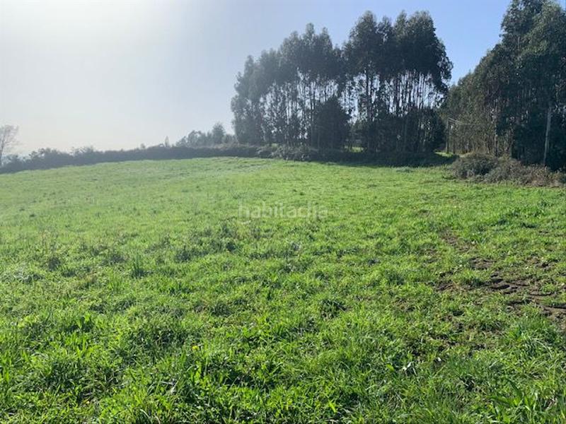 Foto 35bcaca3-a6f2-4e23-89df-3ebf67dd2bdb. Wohngrundstück in Sierín Gijón