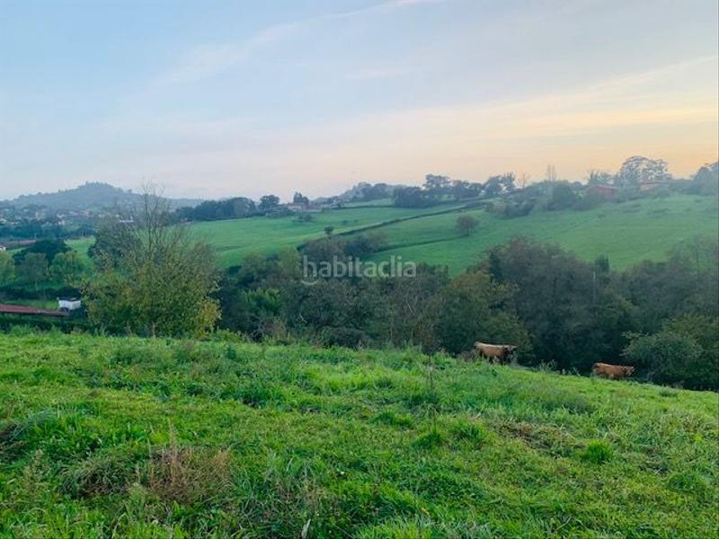 Foto 79afdb78-9c77-4df0-8401-a20e58eac4ee. Residential plot in Caldones Gijón