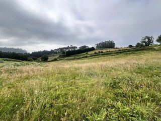 Masía en Quintes - Arroes. Finca rúst. en venta en castiello de la marina.