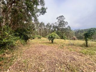 Masía en Quintes - Arroes. Finca rúst. en venta en castiello de la marina.