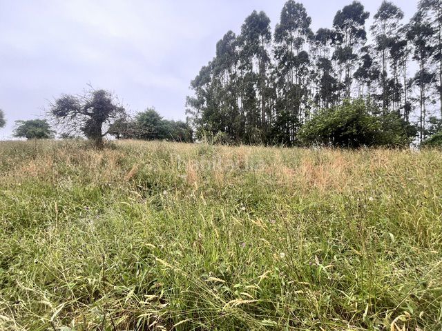 Foto c54b2470-ad20-4d16-8cbb-e2897427d1e8. Masia a Quintes - Arroes Villaviciosa